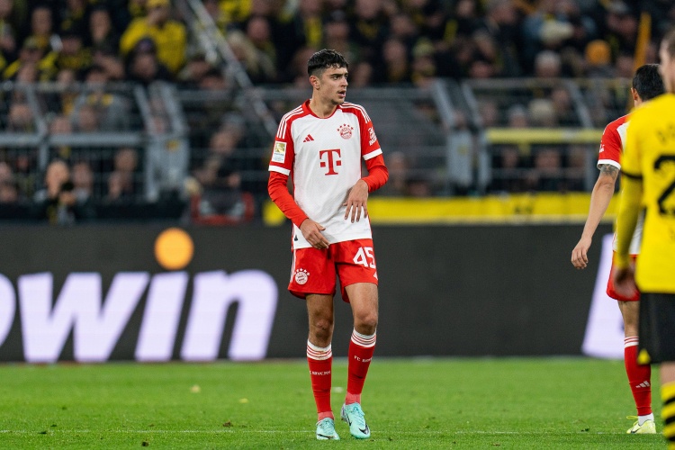 帕夫洛維奇因膝傷出戰(zhàn)荷蘭存疑，納帥：我們得等等看