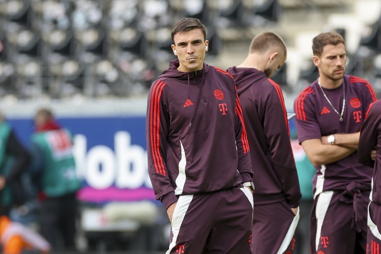 前國腳：拜仁沒必要拆散帕夫洛維奇和基米希，帕利尼亞只能任替補(bǔ)